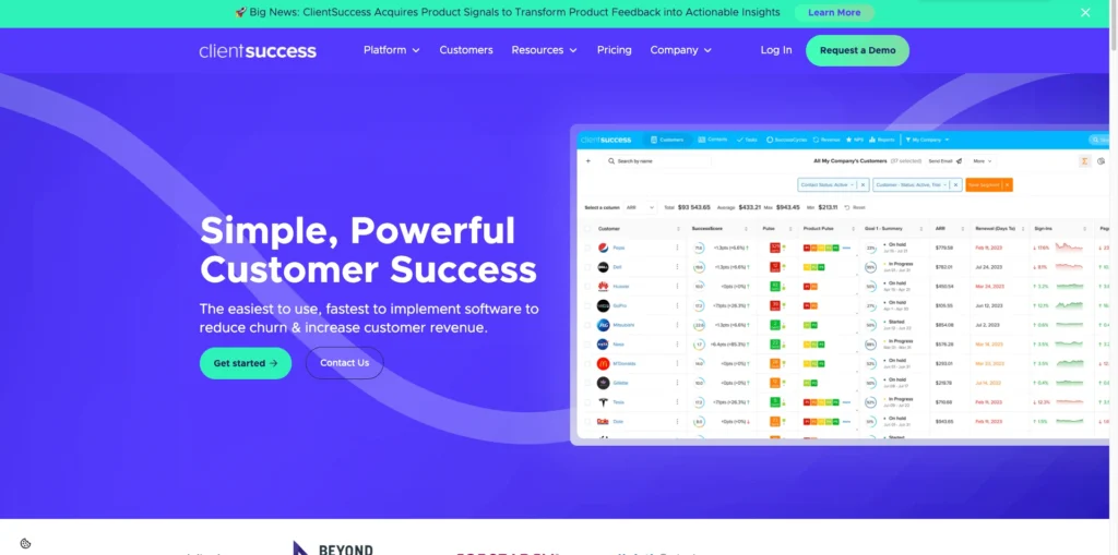 client-success