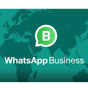 WhatsApp business services